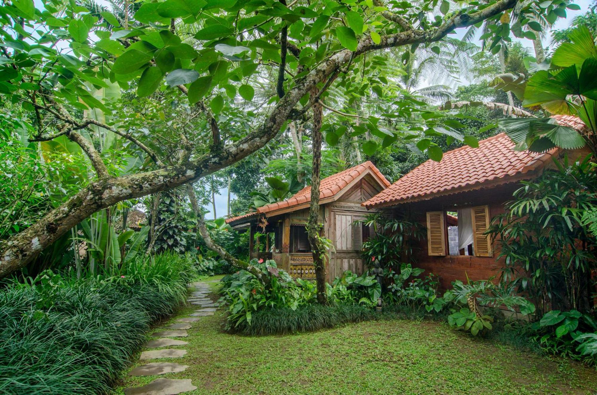 Bed and Breakfast Dewi Tara Haven Паянган Номер фото