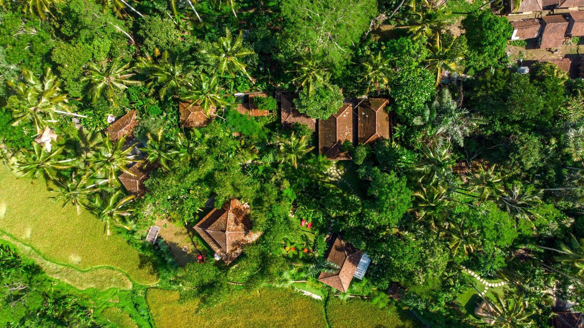 Bed and Breakfast Dewi Tara Haven Паянган Экстерьер фото