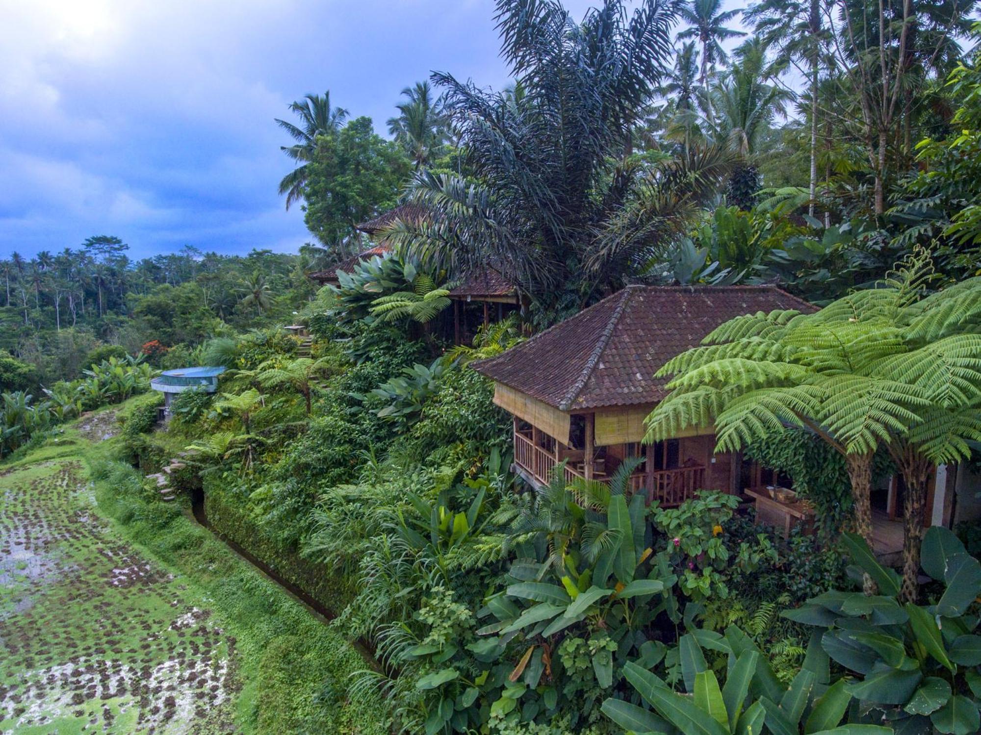 Bed and Breakfast Dewi Tara Haven Паянган Номер фото