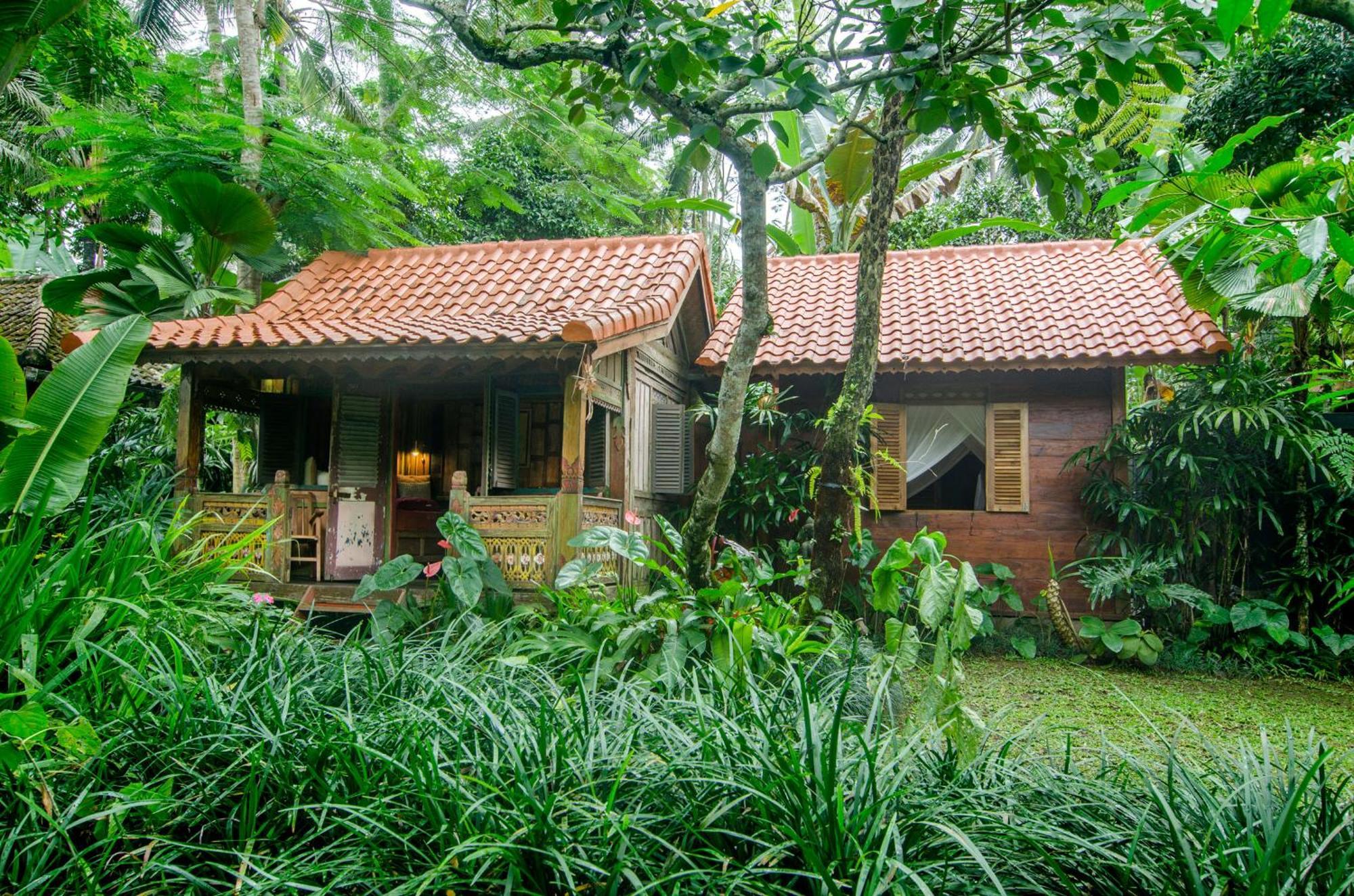 Bed and Breakfast Dewi Tara Haven Паянган Номер фото